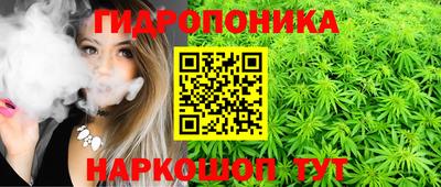 Альфа ПВП Пушкино