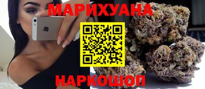 Альфа ПВП Пушкино
