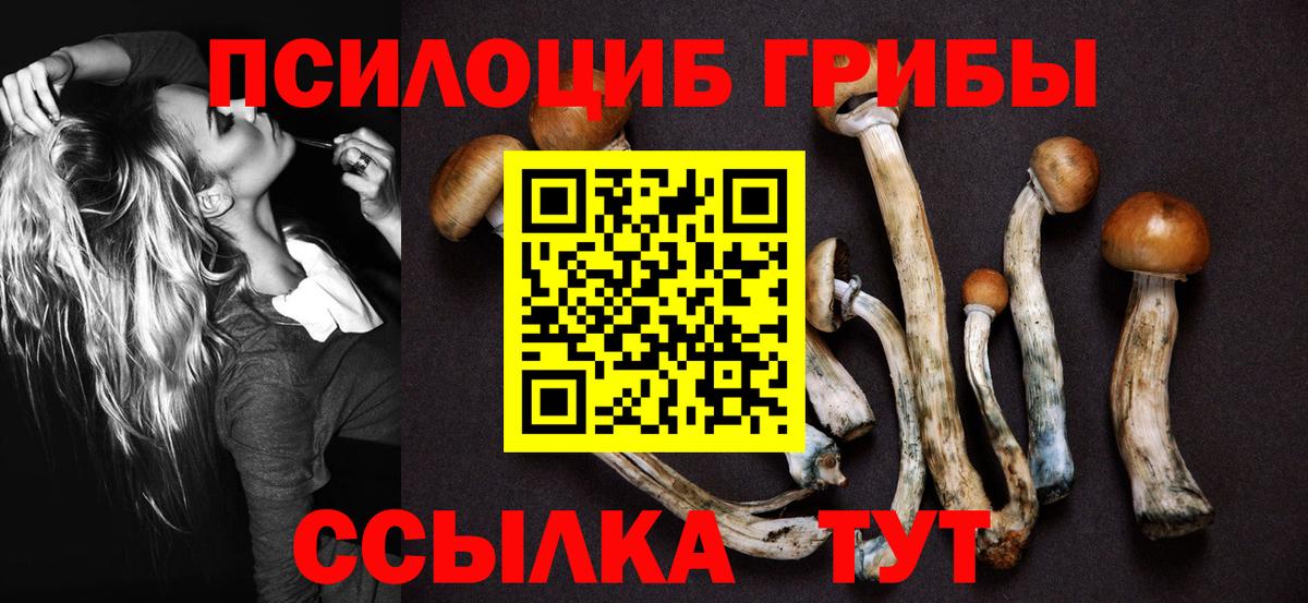 Псилоцибиновые грибы Magic Shrooms Спасск-Дальний