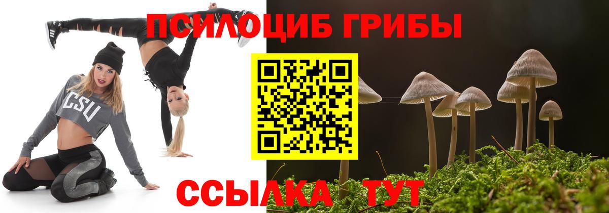 где купить наркотик  Псилоцибиновые грибы Psilocybe  Галлюциногенные грибы Psilocybe  Вход с VPN  Спасск-Дальний 